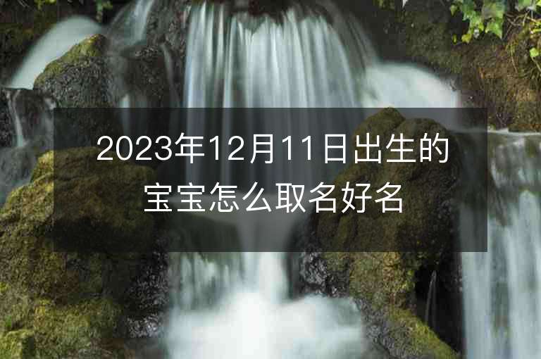 2023年12月11日出生的寶寶怎么取名好名字取名推薦方法