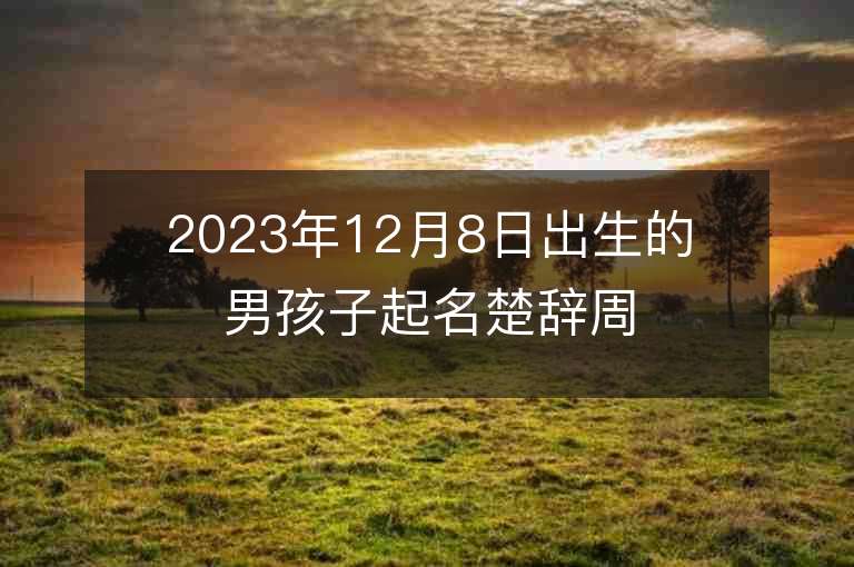 2023年12月8日出生的男孩子起名楚辭周易寓意好的男寶寶取名字推薦