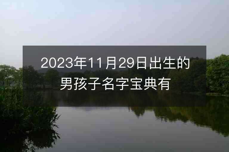 2023年11月29日出生的男孩子名字寶典有詩意的名字推薦