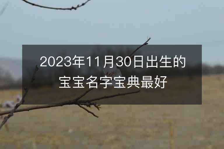 2023年11月30日出生的寶寶名字寶典最好聽(tīng)的名字精選推薦