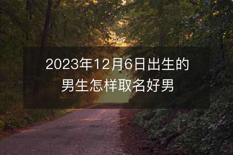 2023年12月6日出生的男生怎樣取名好男孩子名字集錦