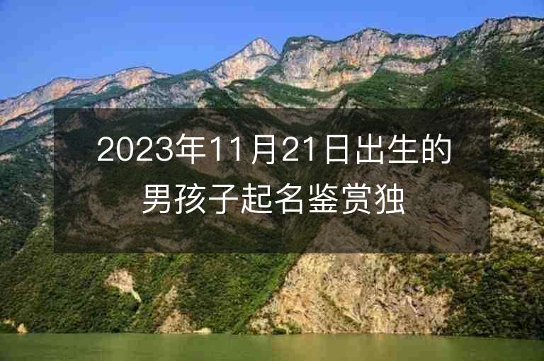 2023年11月21日出生的男孩子起名鑒賞獨特的名字推薦