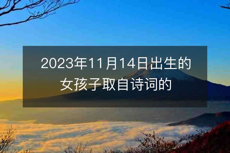 2023年11月14日出生的女孩子取自詩詞的名字古典有韻味的女寶寶取名字推薦