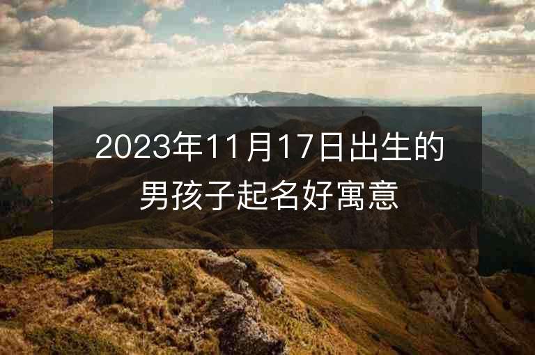 2023年11月17日出生的男孩子起名好寓意的字取名技巧分享