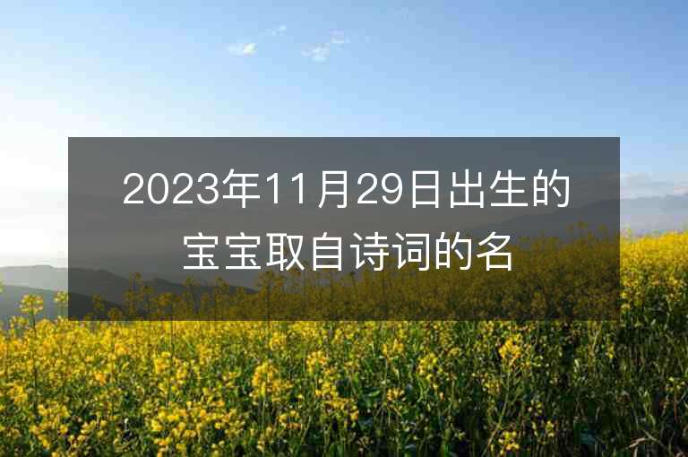 2023年11月29日出生的寶寶取自詩詞的名字富有書香氣質的名字推薦