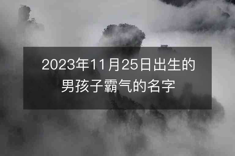 2023年11月25日出生的男孩子霸氣的名字男寶寶陽剛的名字推薦