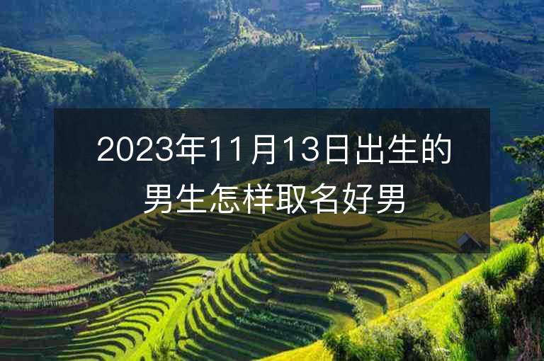 2023年11月13日出生的男生怎樣取名好男寶寶好聽的名字推薦