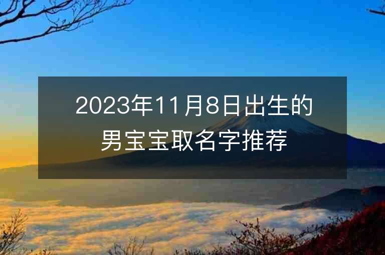 2023年11月8日出生的男寶寶取名字推薦助運的男生名字推薦