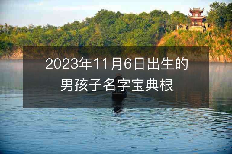 2023年11月6日出生的男孩子名字寶典根據美好愿景起名