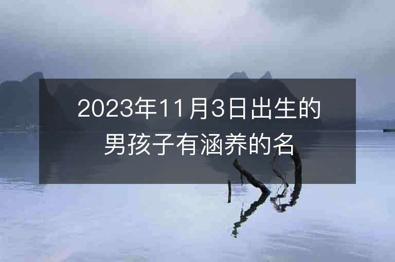 2023年11月3日出生的男孩子有涵養(yǎng)的名字有詩(shī)意的名字推薦