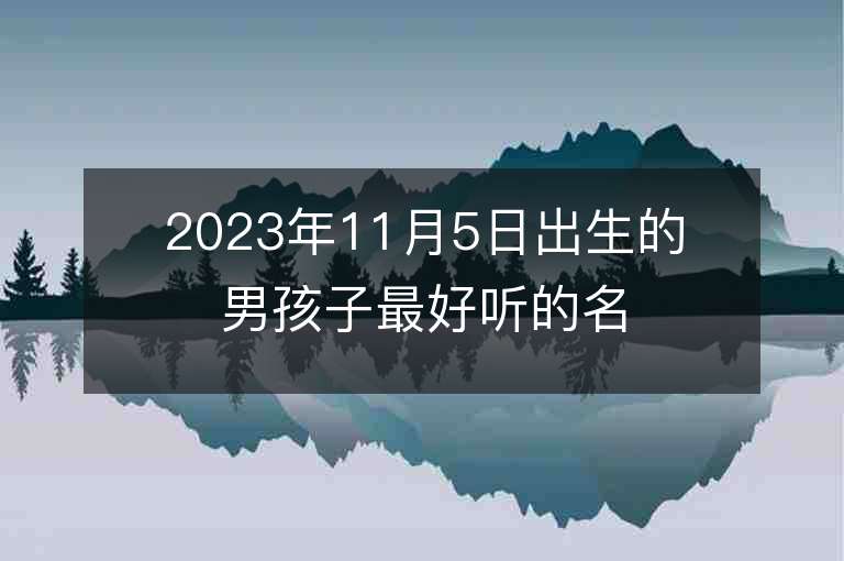 2023年11月5日出生的男孩子最好聽的名字寶寶取名技巧