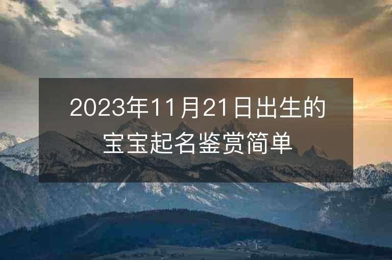 2023年11月21日出生的寶寶起名鑒賞簡單大氣的女孩子名字推薦