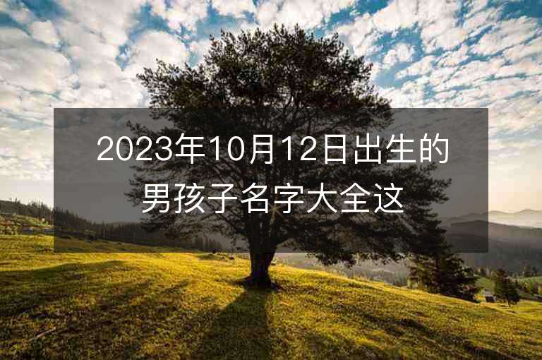 2023年10月12日出生的男孩子名字大全這樣取名滿分