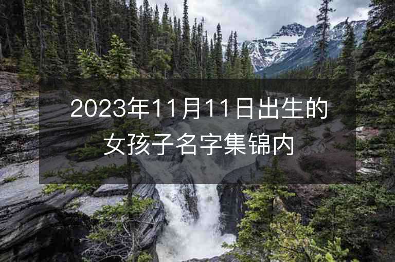 2023年11月11日出生的女孩子名字集錦內涵豐富的女寶寶取名字推薦