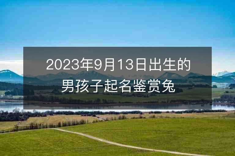 2023年9月13日出生的男孩子起名鑒賞兔年有氣勢的男孩子名字精選