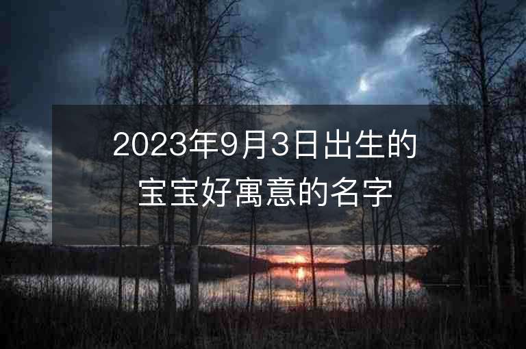 2023年9月3日出生的寶寶好寓意的名字帶有詩字的女孩子名字賞析