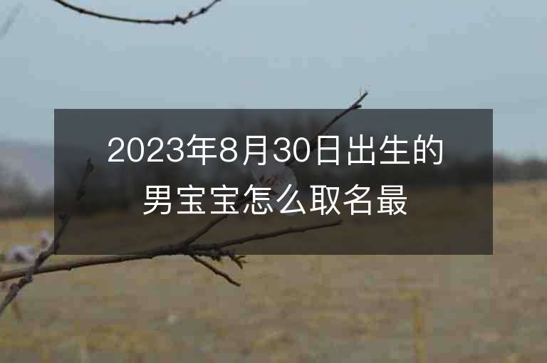 2023年8月30日出生的男寶寶怎么取名最火的男寶寶名字排行榜