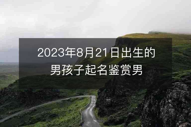 2023年8月21日出生的男孩子起名鑒賞男孩子剛強有勁的名字精選