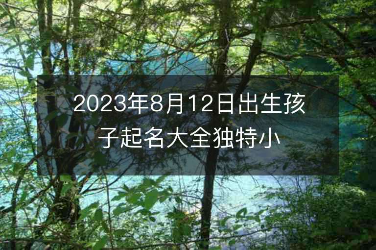 2023年8月12日出生孩子起名大全獨特小眾的我兔寶寶名字推薦