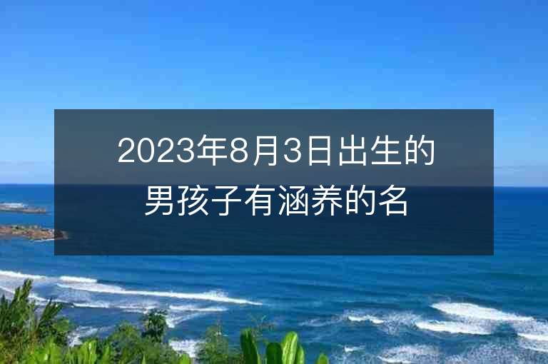 2023年8月3日出生的男孩子有涵養的名字寓意深刻的男孩子名字合集