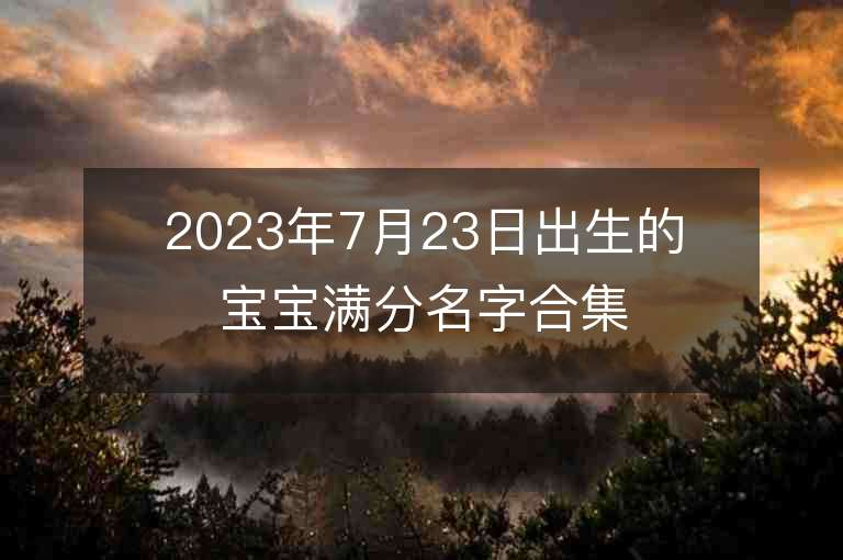 2023年7月23日出生的寶寶滿分名字合集出自詩經寓意的精選名字推薦