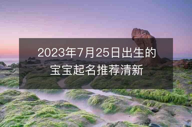 2023年7月25日出生的寶寶起名推薦清新淡雅的女孩子名字大全