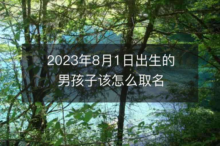 2023年8月1日出生的男孩子該怎么取名大方大氣的名字合集