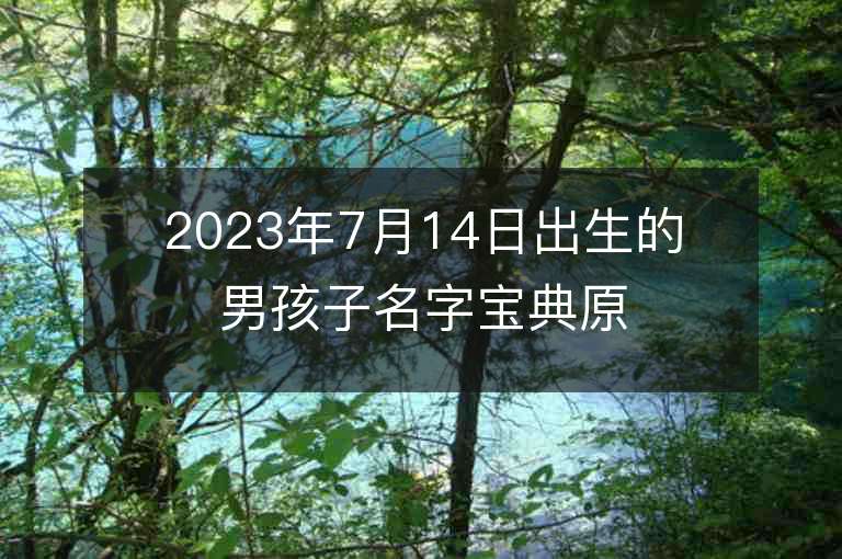 2023年7月14日出生的男孩子名字寶典原來名字還可以這樣取