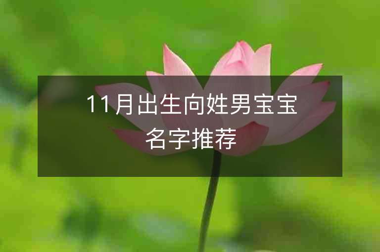 11月出生向姓男寶寶名字推薦