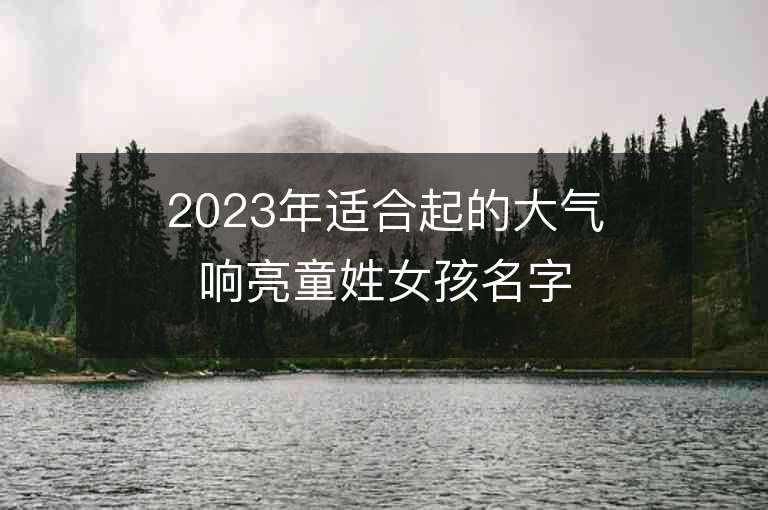 2023年適合起的大氣響亮童姓女孩名字