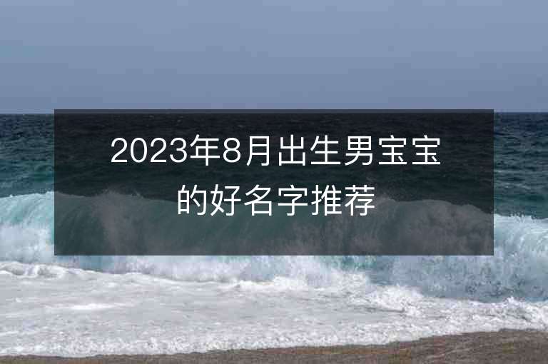 2023年8月出生男寶寶的好名字推薦