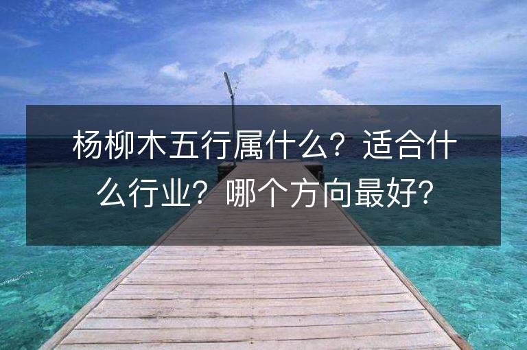 楊柳木五行屬什么？適合什么行業？哪個方向最好？