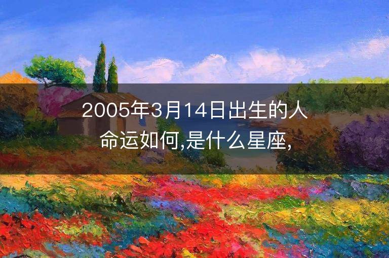 2005年3月14日出生的人命運如何,是什么星座,八字五行