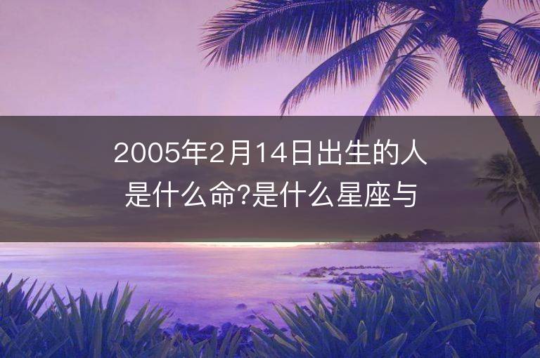 2005年2月14日出生的人是什么命?是什么星座與五行