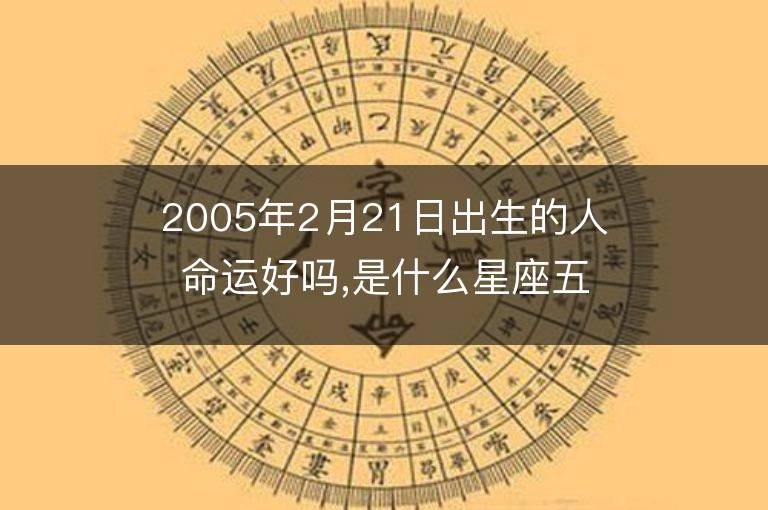 2005年2月21日出生的人命運好嗎,是什么星座五行