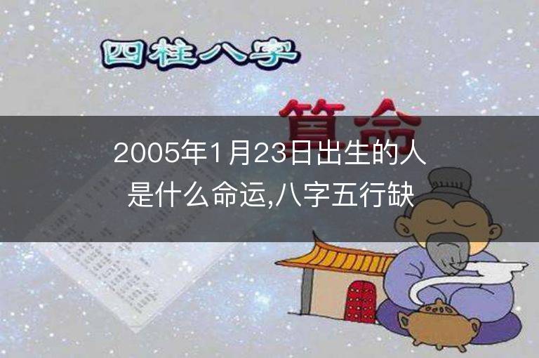 2005年1月23日出生的人是什么命運,八字五行缺嗎