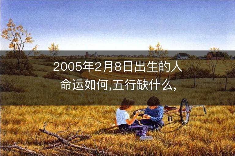 2005年2月8日出生的人命運如何,五行缺什么,是什么星座