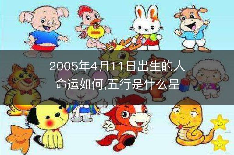 2005年4月11日出生的人命運如何,五行是什么星座