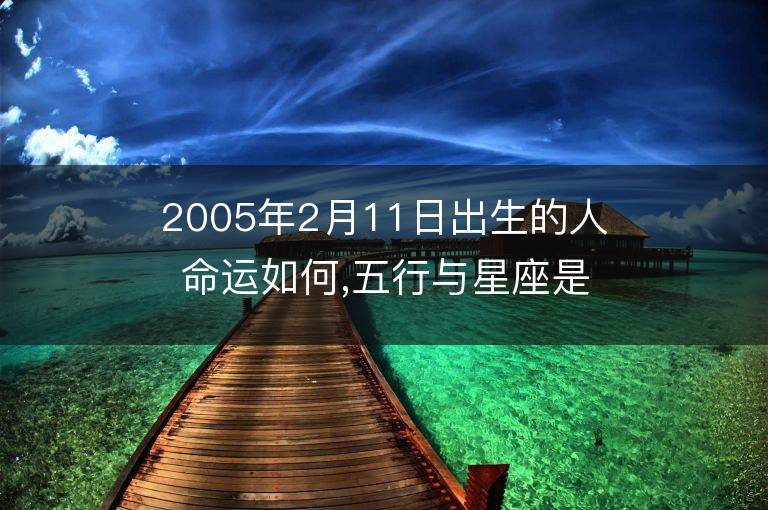 2005年2月11日出生的人命運如何,五行與星座是什么