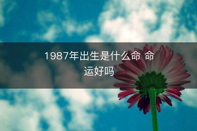 1987年出生是什么命 命運好嗎