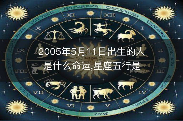 2005年5月11日出生的人是什么命運,星座五行是什么