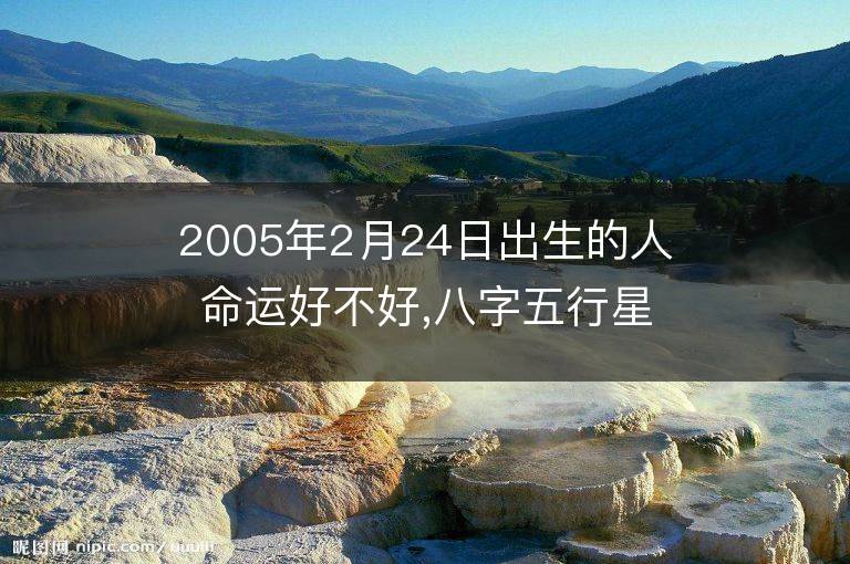 2005年2月24日出生的人命運好不好,八字五行星座是什么