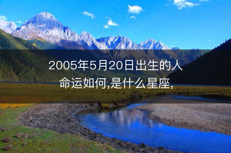 2005年5月20日出生的人命運如何,是什么星座,八字五行