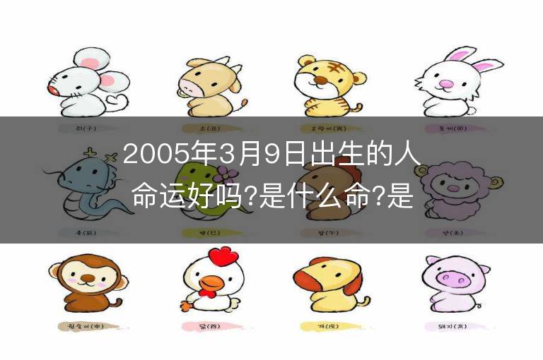 2005年3月9日出生的人命運好嗎?是什么命?是什么星座?