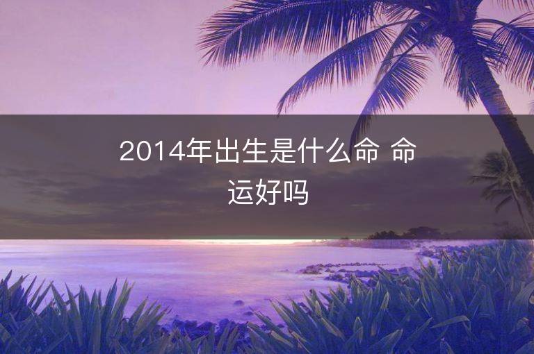 2014年出生是什么命 命運好嗎