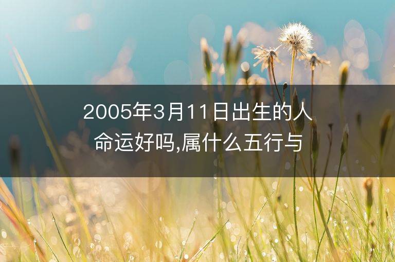 2005年3月11日出生的人命運好嗎,屬什么五行與星座