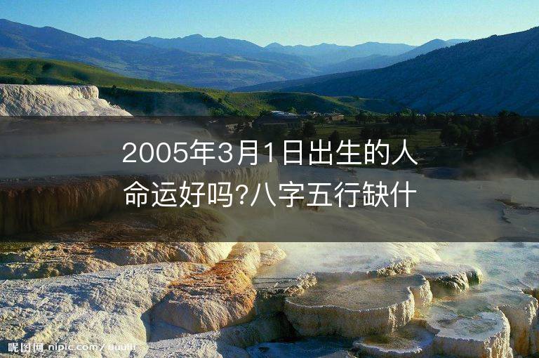 2005年3月1日出生的人命運好嗎?八字五行缺什么?是什么命?