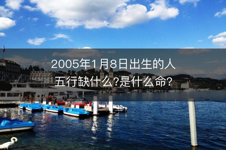 2005年1月8日出生的人五行缺什么?是什么命?是什么星座?