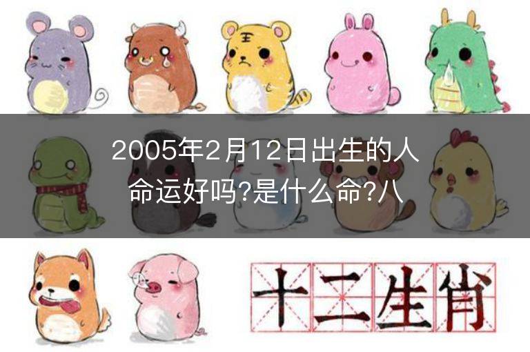 2005年2月12日出生的人命運好嗎?是什么命?八字五行缺什么?