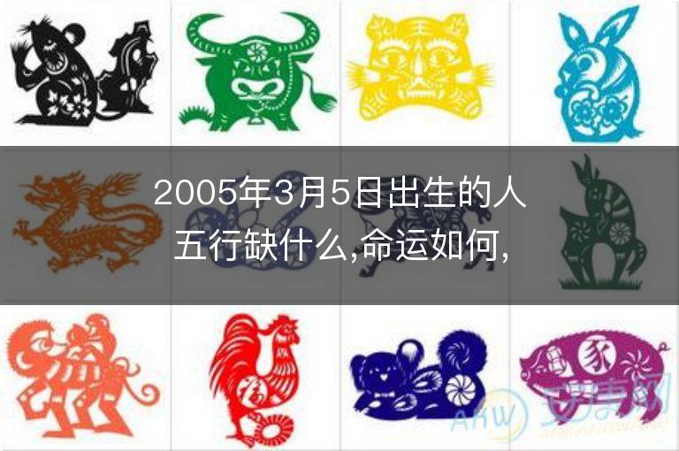 2005年3月5日出生的人五行缺什么,命運如何,是什么星座